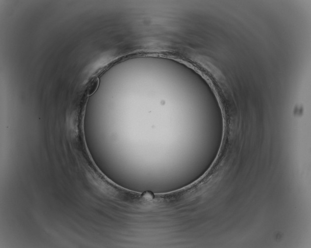 X0000094971451200712061416