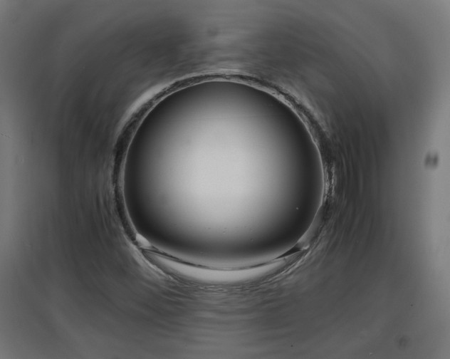 X0000094971452200712061416