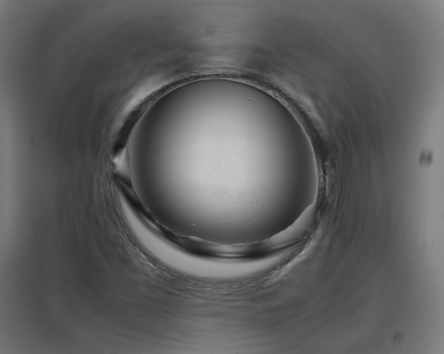 X0000094971453200712061416