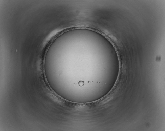 X0000094971454200712061416