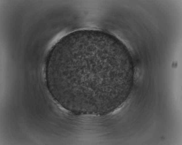 X0000094971455200712061416