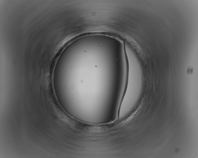 X0000094971457200712061416