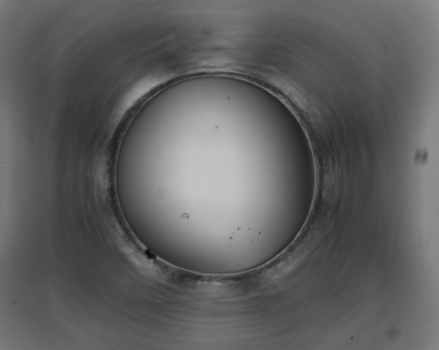 X0000094971458200712061416