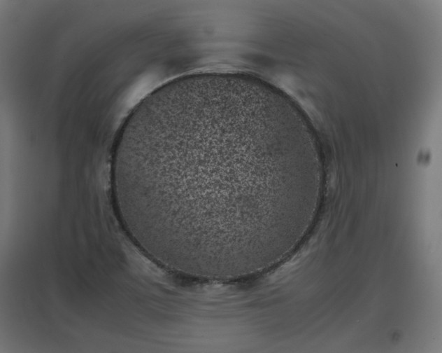 X0000094971459200712061416