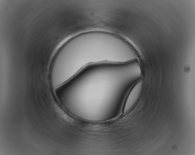 X0000094971460200712061416