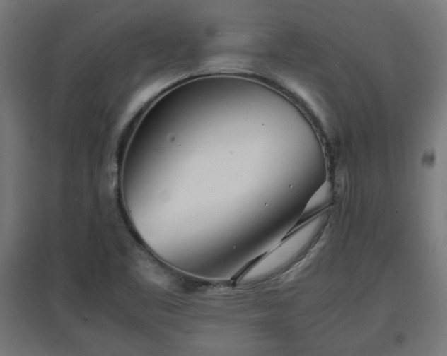 X0000094971461200712061416