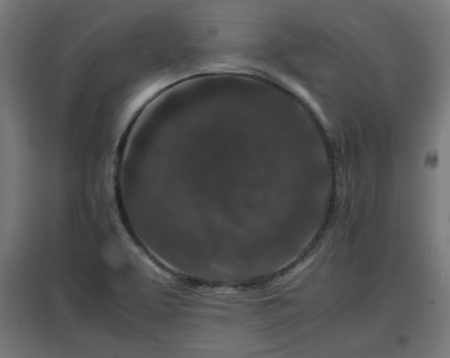 X0000094971463200712061416