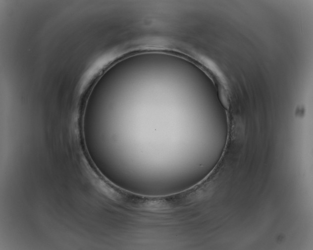 X0000094971464200712061416
