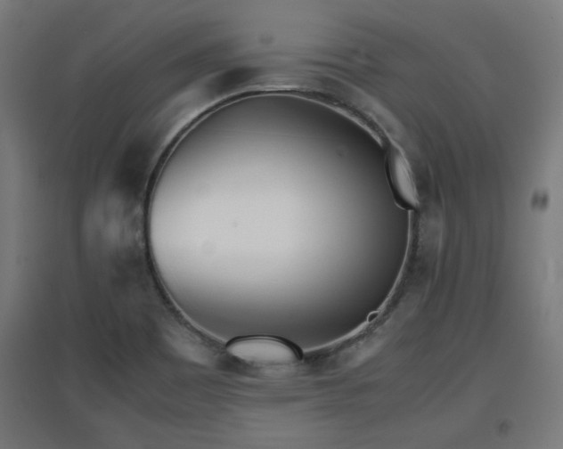X0000094971465200712061416
