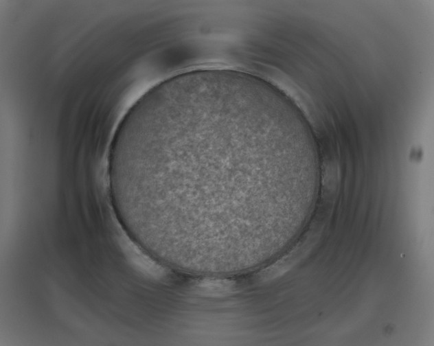 X0000094971466200712061416