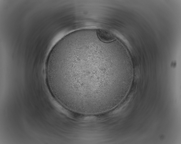 X0000094971467200712061416