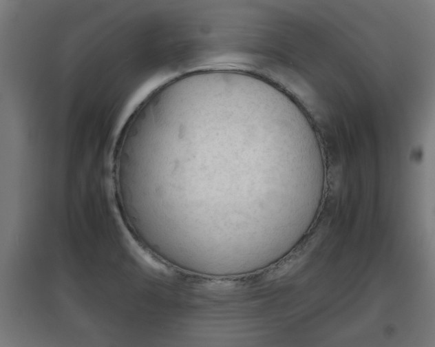 X0000094971470200712061416