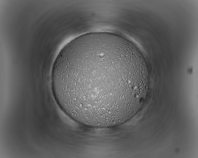 X0000094971471200712061416