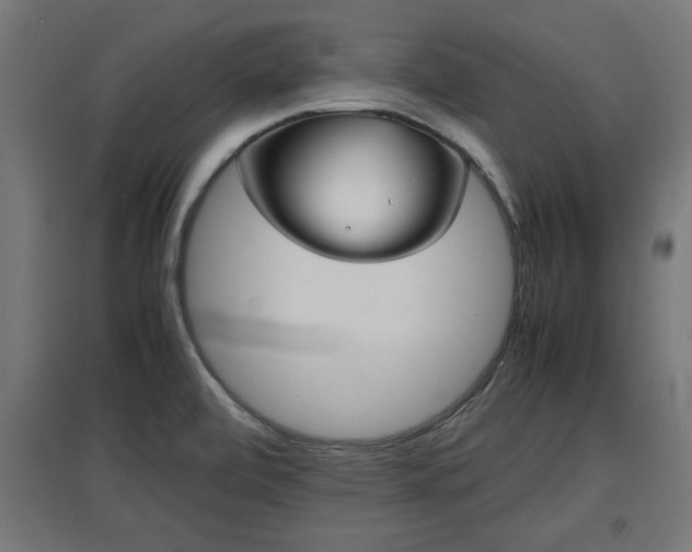 X0000094971472200712061416