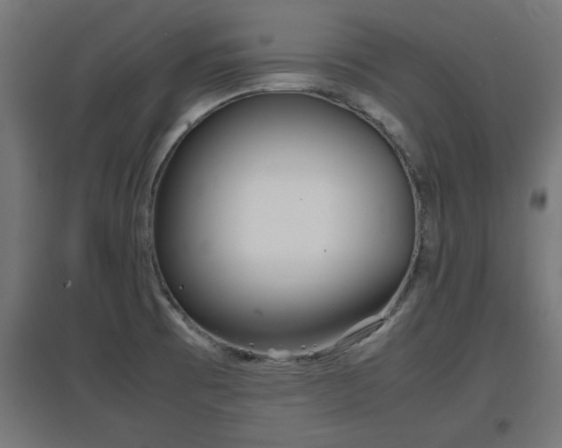 X0000094971473200712061416