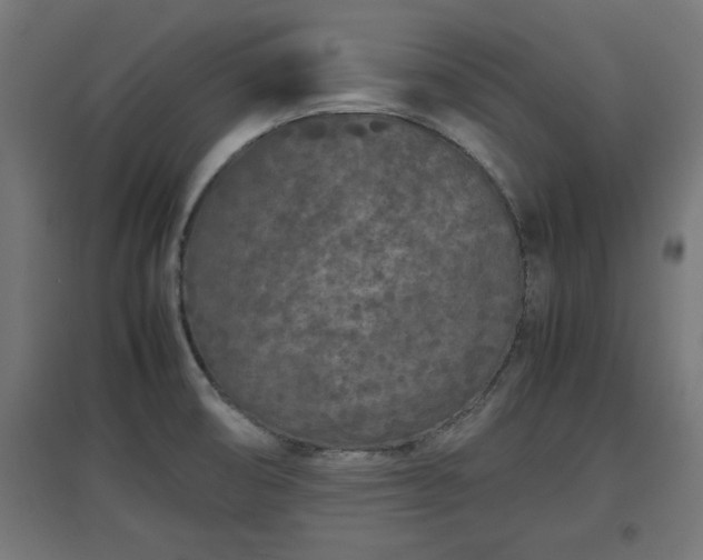 X0000094971474200712061416