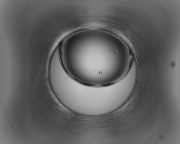 X0000094971477200712061416