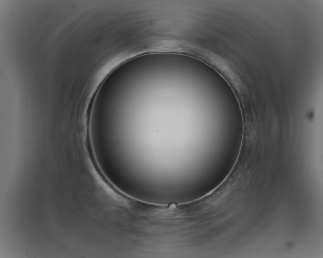 X0000094971479200712061416