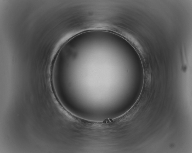 X0000094971480200712061416