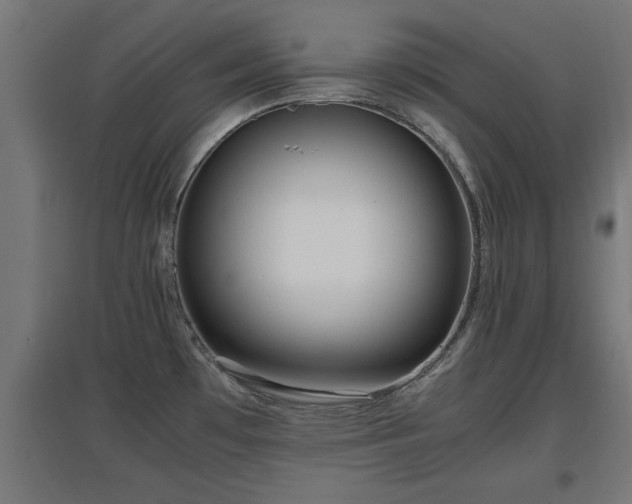 X0000094971481200712061416