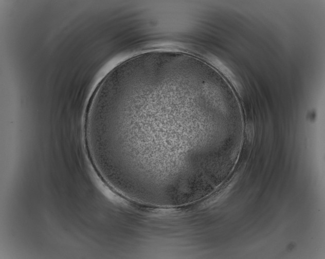 X0000094971482200712061416
