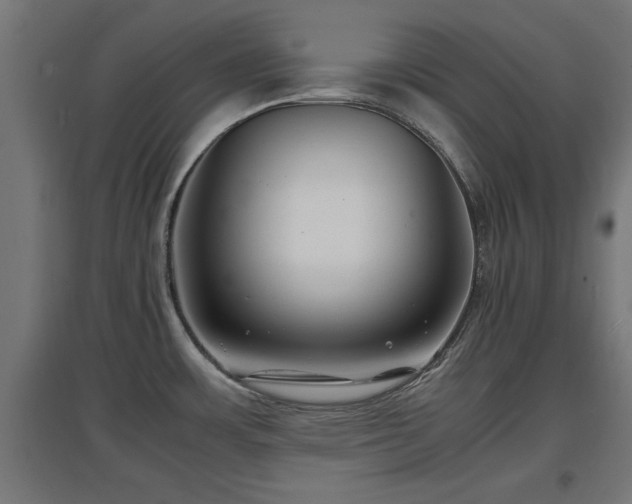 X0000094971483200712061416