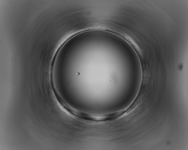 X0000094971484200712061416