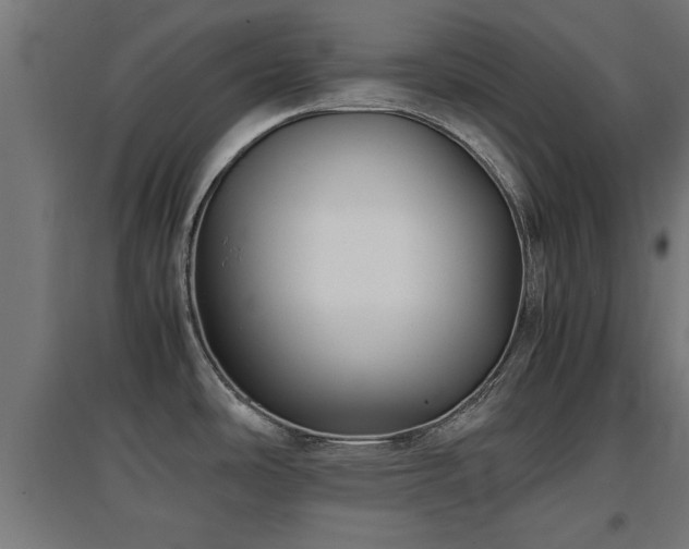 X0000094971486200712061416