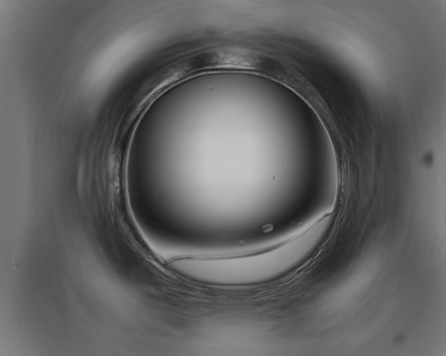 X0000094971487200712061416