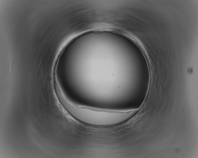 X0000094971488200712061416