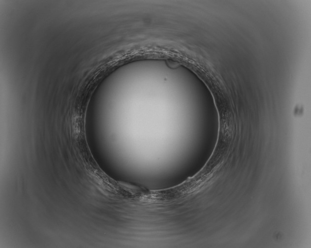 X0000094971490200712061415