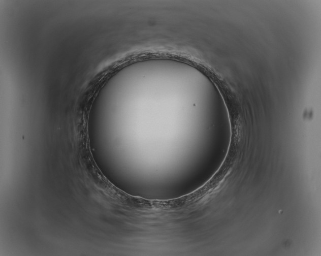 X0000094971494200712061415