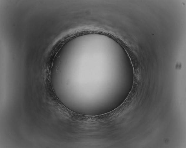 X0000094971495200712061415
