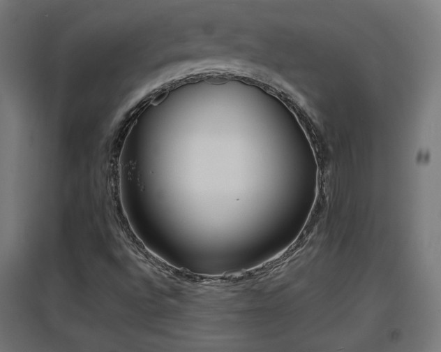 X0000094971496200712061415