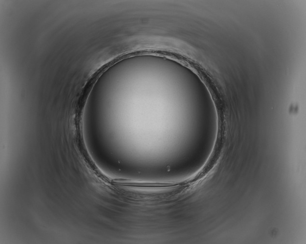 X0000094971497200712061415