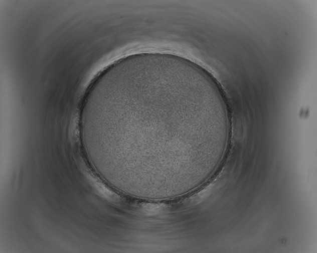 X0000094971498200712061415