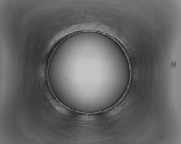 X0000094971499200712061415