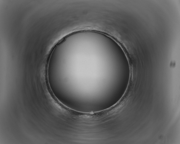 X0000094971500200712061415