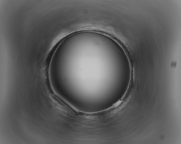 X0000094971501200712061415