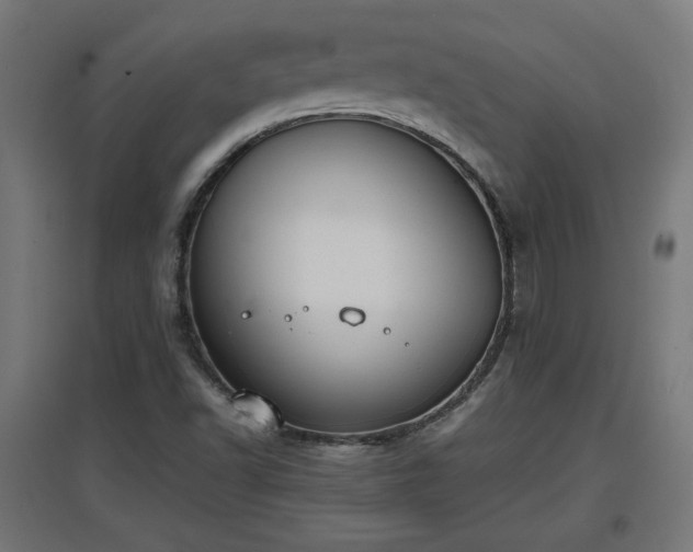 X0000094971502200712061415