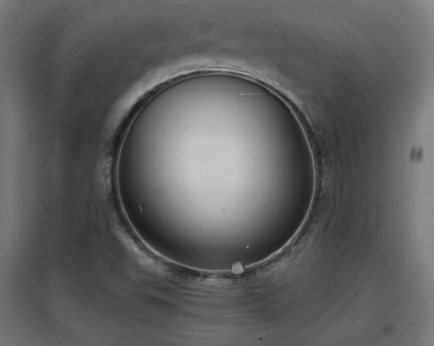 X0000094971503200712061415