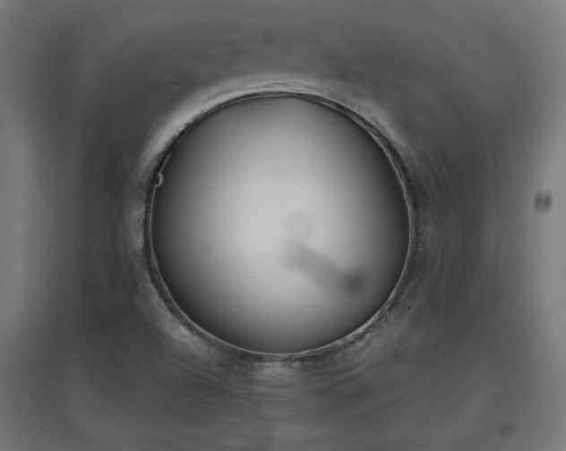 X0000094971504200712061415