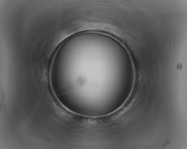 X0000094971505200712061415