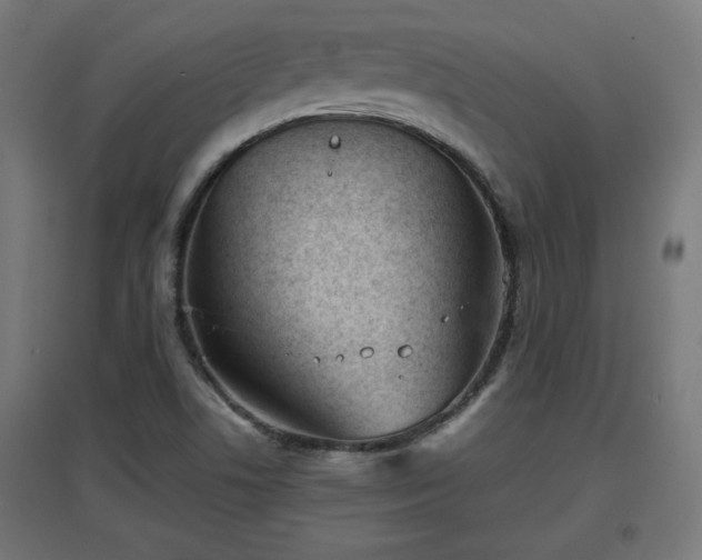 X0000094971506200712061415