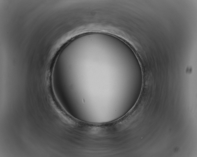 X0000094971507200712061415