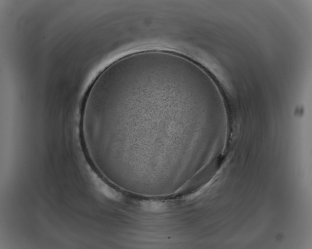 X0000094971508200712061415