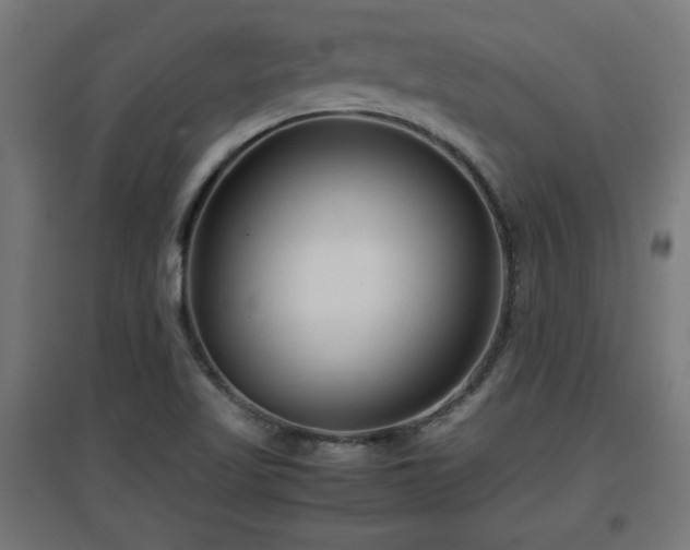 X0000094971509200712061415