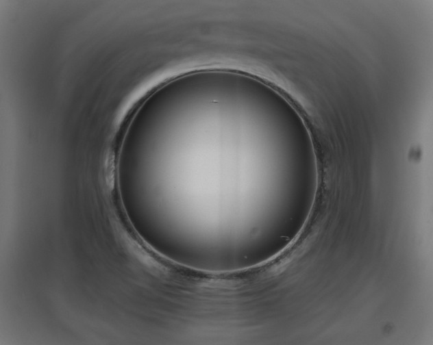 X0000094971510200712061415