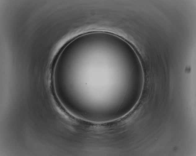 X0000094971511200712061415