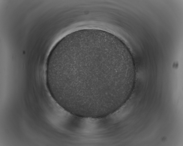 X0000094971514200712061415